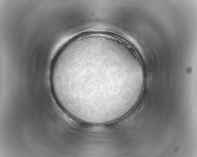 X0000093611464200711121201