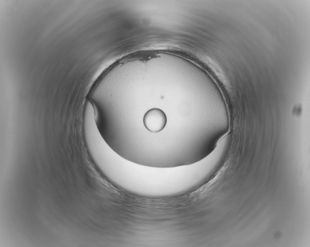 X0000093611465200711121201