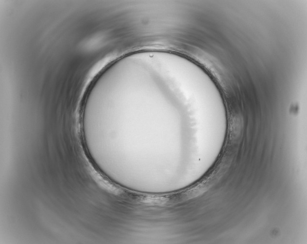 X0000093611466200711121201