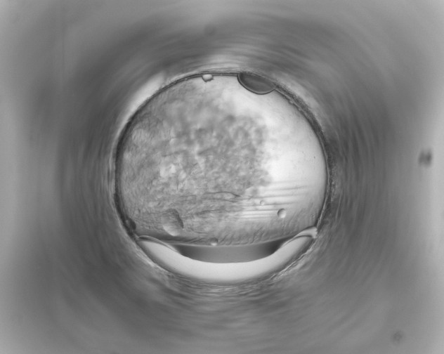 X0000093611467200711121201