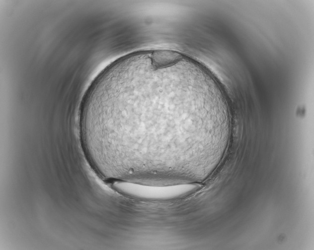 X0000093611468200711121201
