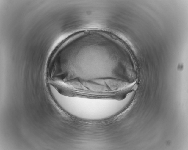 X0000093611469200711121201