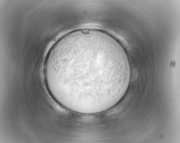 X0000093611470200711121201