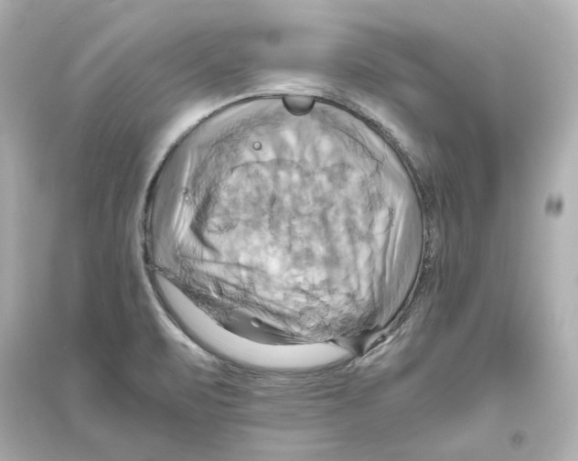 X0000093611471200711121201