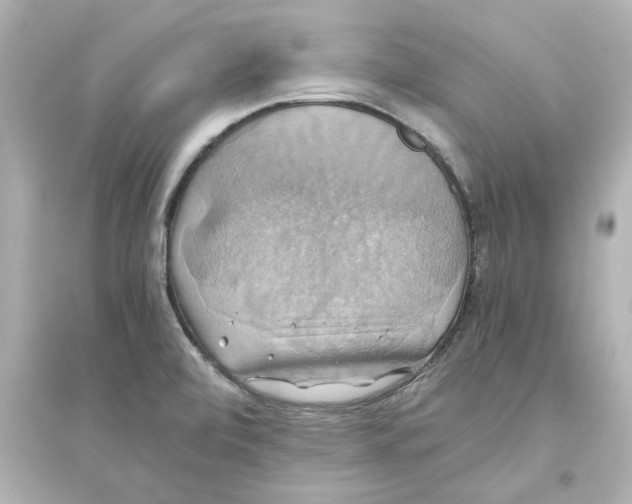 X0000093611472200711121201