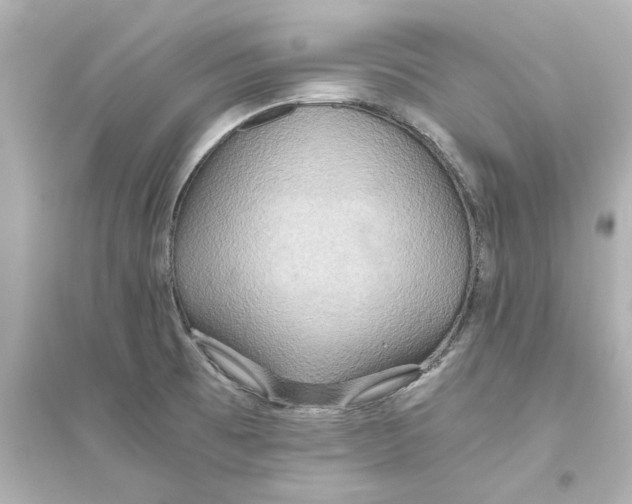 X0000093611473200711121201