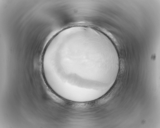 X0000093611474200711121201