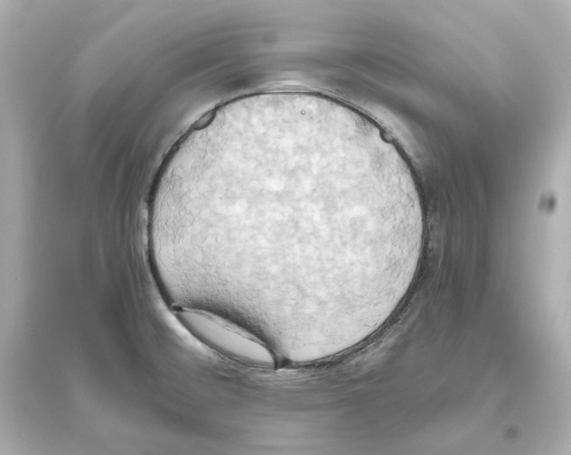 X0000093611476200711121201