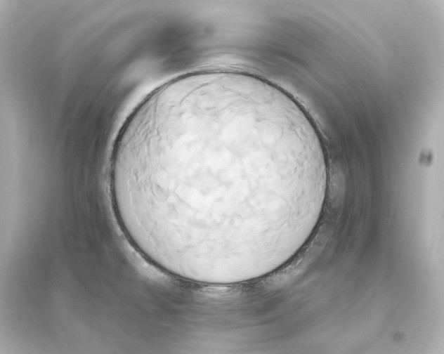 X0000093611478200711121201