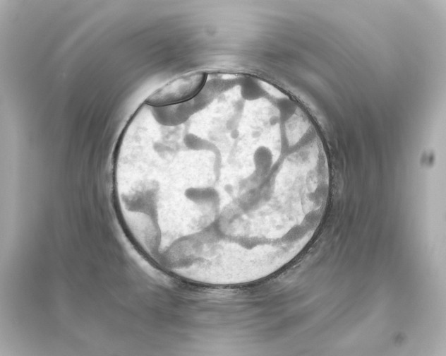 X0000093611479200711121201