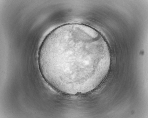 X0000093611480200711121201