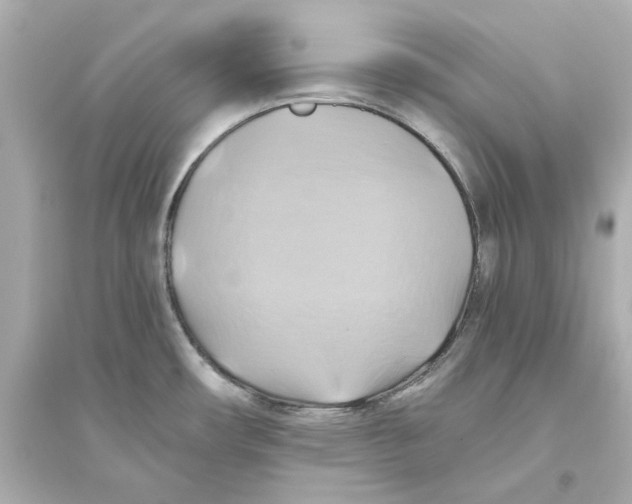 X0000093611482200711121200