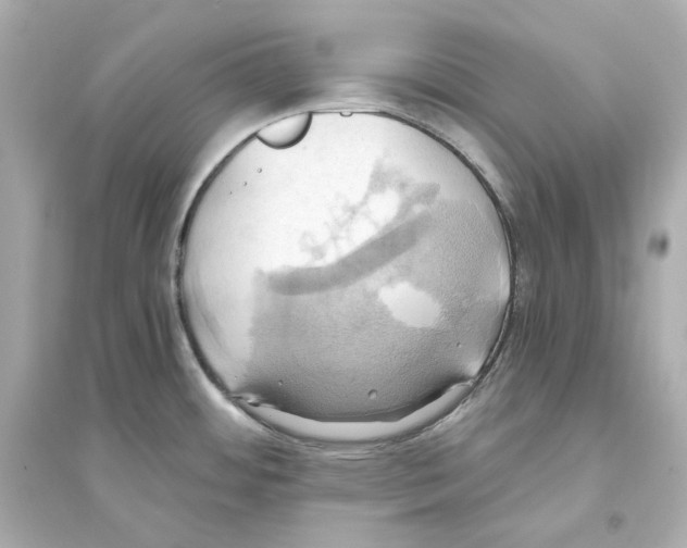 X0000093611484200711121200