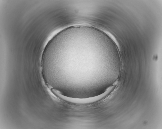X0000093611485200711121200