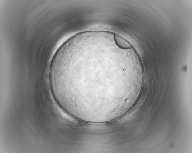 X0000093611486200711121200