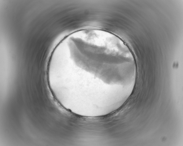 X0000093611488200711121200