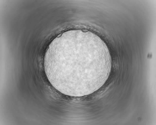 X0000093611490200711121200