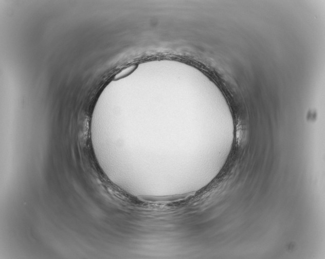X0000093611492200711121200