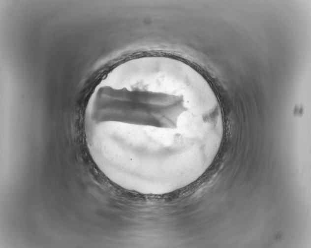 X0000093611494200711121200