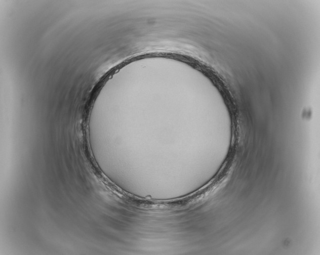 X0000093611497200711121200