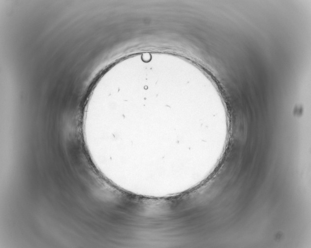 X0000093611498200711121200