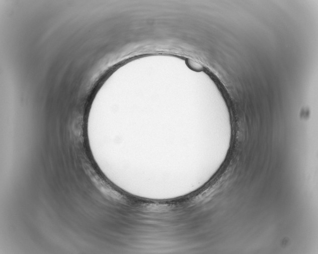 X0000093611499200711121200