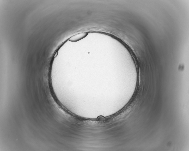 X0000093611500200711121200