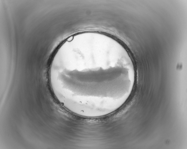 X0000093611501200711121200