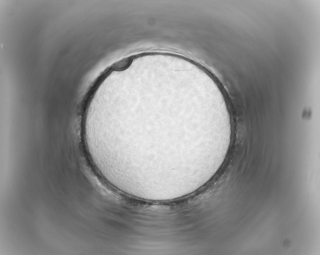 X0000093611503200711121200