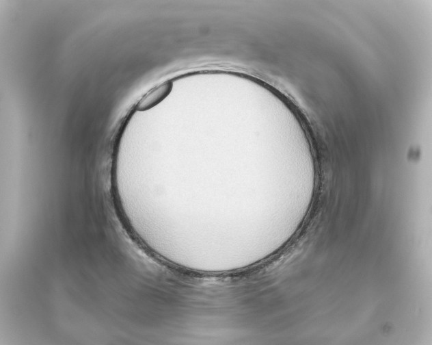 X0000093611504200711121200