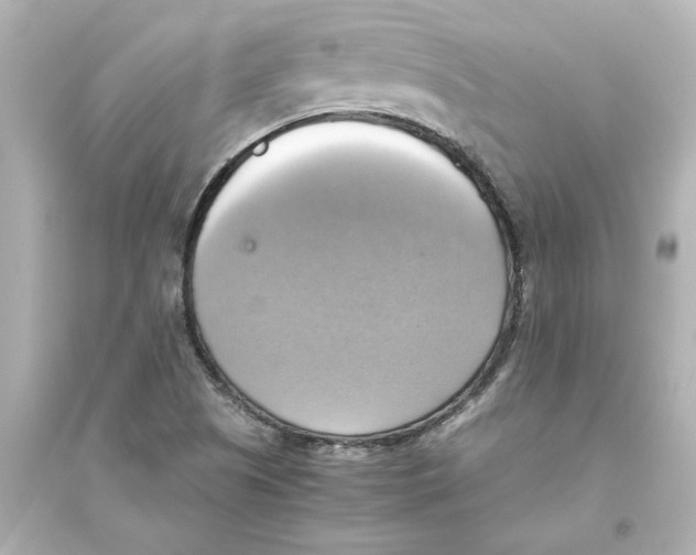 X0000093611505200711121200