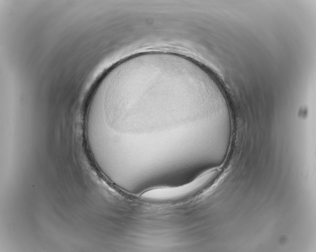 X0000093611506200711121200