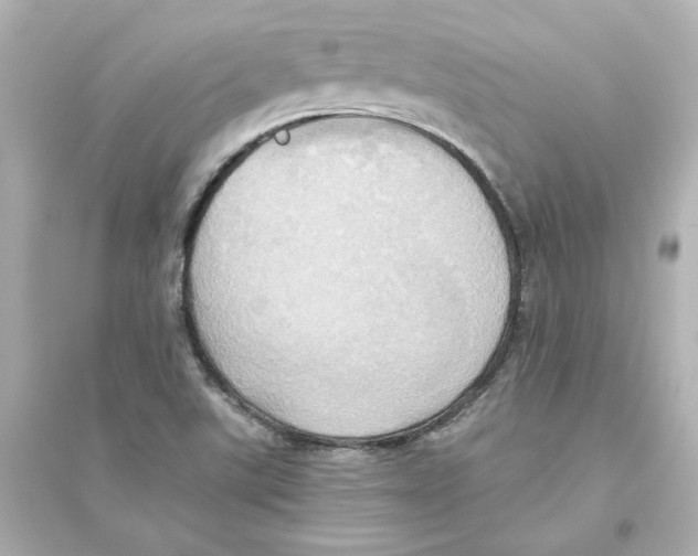 X0000093611507200711121200