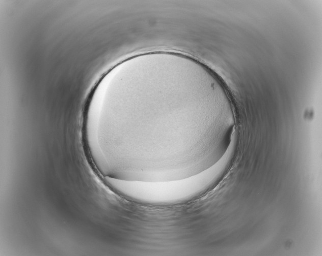 X0000093611508200711121200