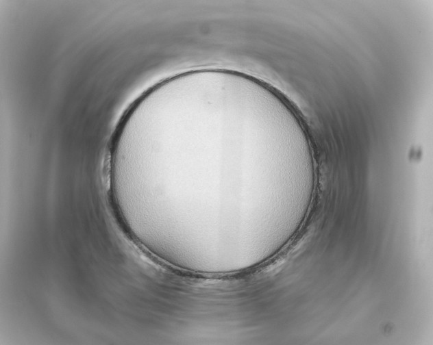 X0000093611510200711121200
