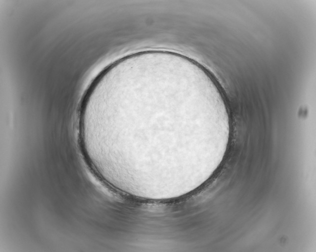 X0000093611511200711121200
