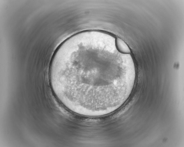 X0000093611513200711121200