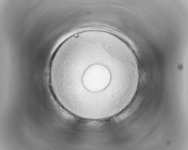 X0000093611514200711121200