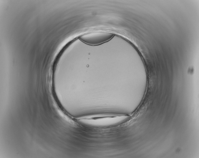 X0000093611515200711121200
