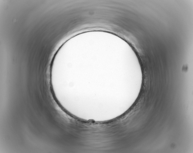 X0000093611516200711121200