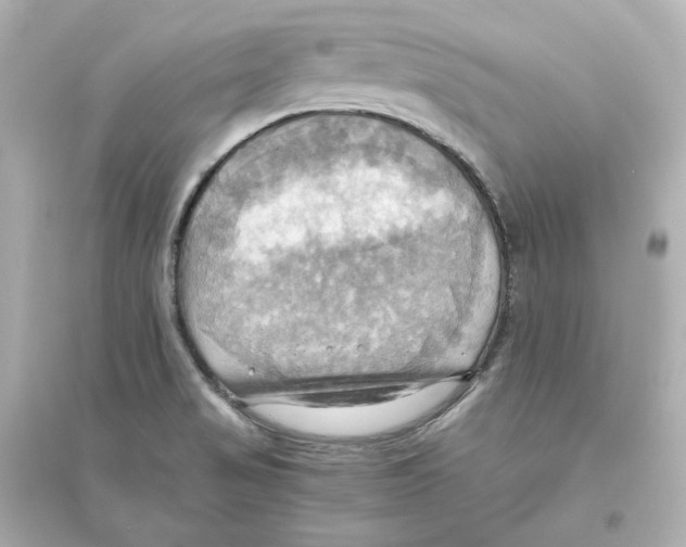 X0000093611517200711121200