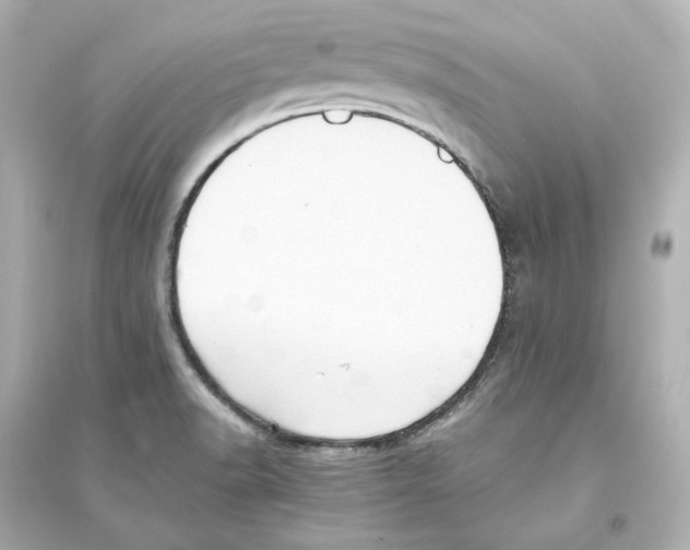 X0000093611518200711121200