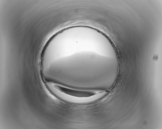 X0000093611519200711121200