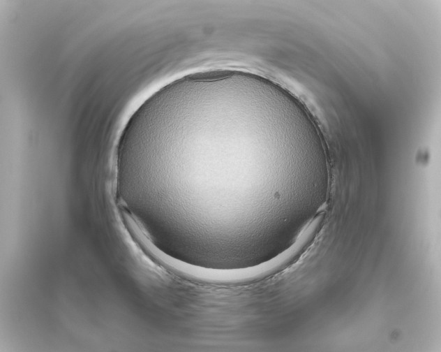 X0000093611520200711121200