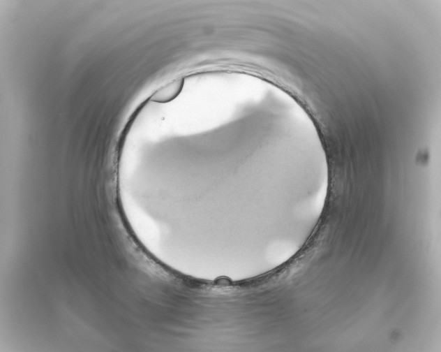 X0000093611522200711121200