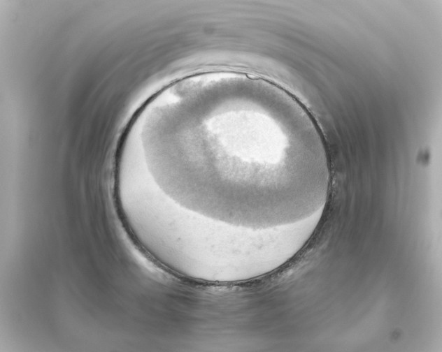 X0000093611523200711121200