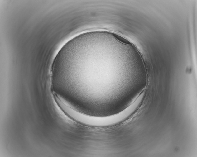 X0000093611524200711121200