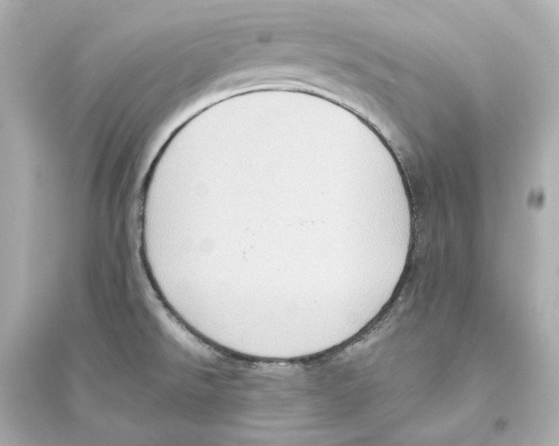 X0000093611526200711121200