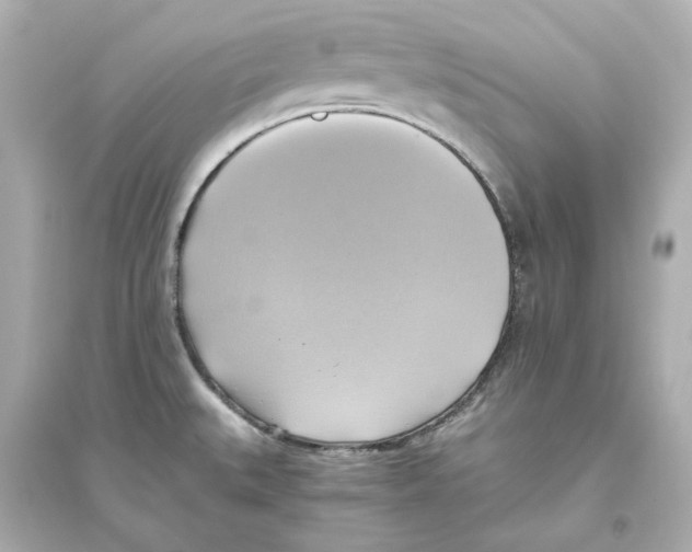 X0000093611527200711121200