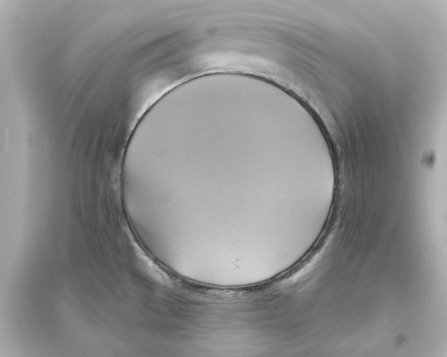 X0000093611529200711121200